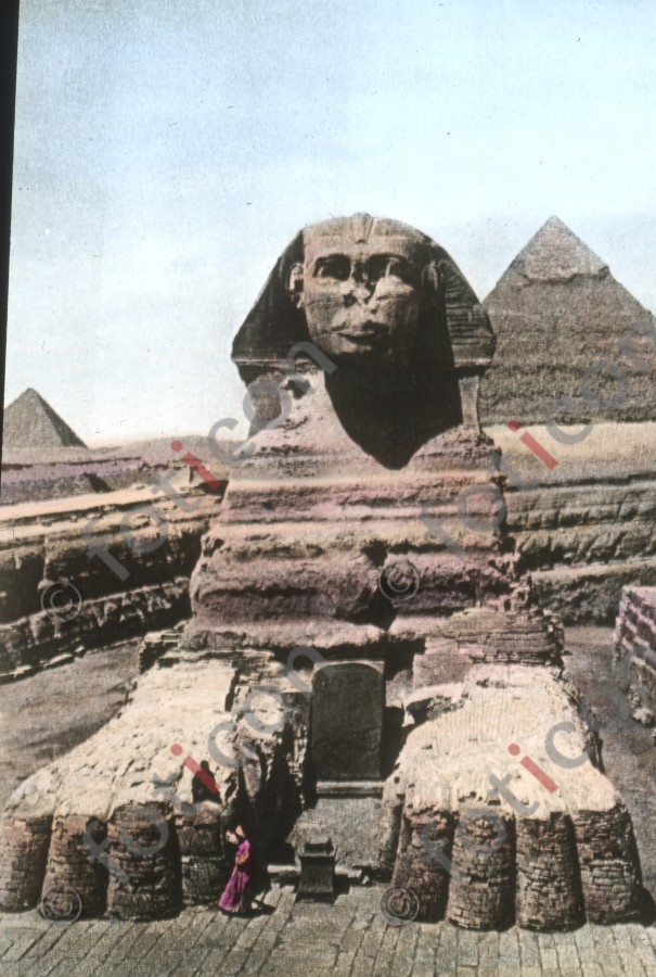 Der ausgegrabene Sphinx | The excavated sphinx - Foto foticon-simon-008-023.jpg | foticon.de - Bilddatenbank für Motive aus Geschichte und Kultur